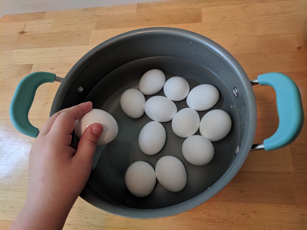 Eggs in pot of water